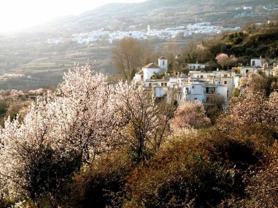 Spectacular view, authentic house, exquisite area. Villa Atalbeitar Exterior foto