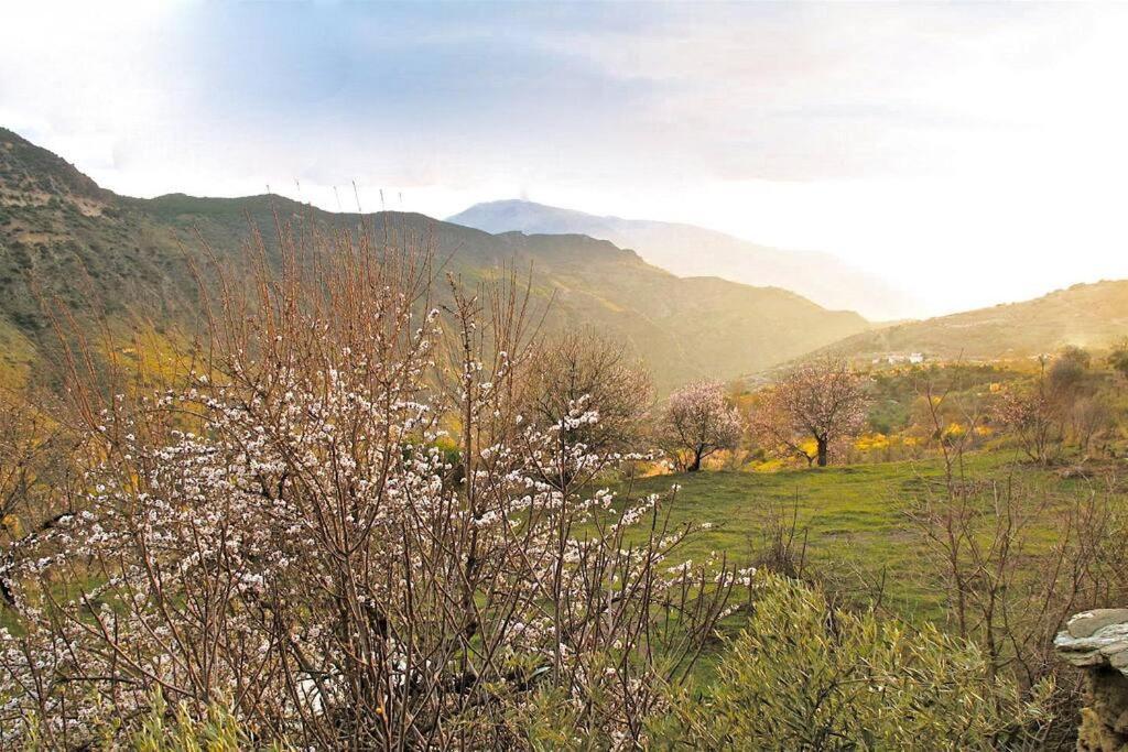 Spectacular view, authentic house, exquisite area. Villa Atalbeitar Exterior foto